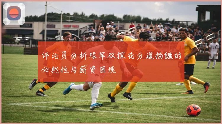 评论员分析绿军双探花分道扬镳的必然性与薪资困境