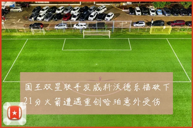 国王双星联手发威科沃德乐福砍下21分火箭遭遇重创哈珀意外受伤
